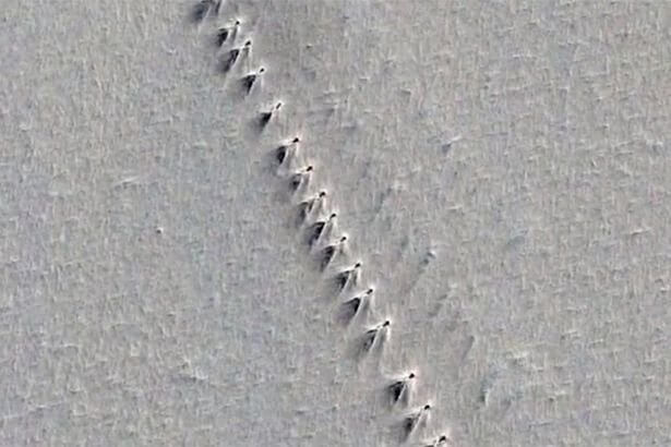 Something Else Might Be Hiding Under The Surface