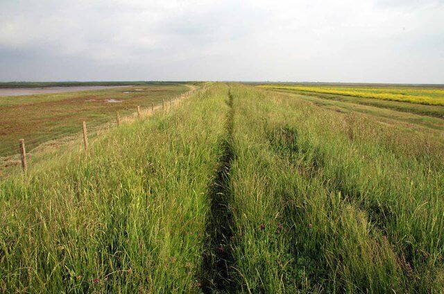 The Sea Island Salt Marsh Lodge, Georgia: Slowing Down With the Tide