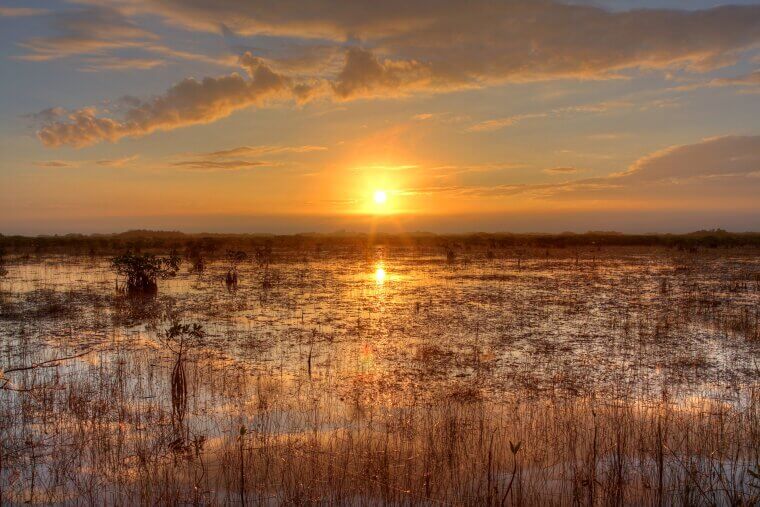 Everglades, Florida - Seminole Wind by John Anderson