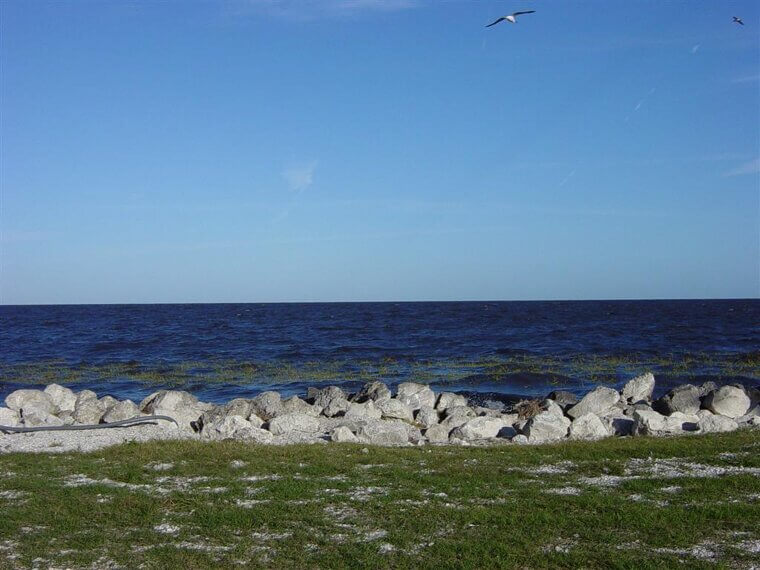 Lake Okeechobee, Florida - Seminole Wind by John Anderson