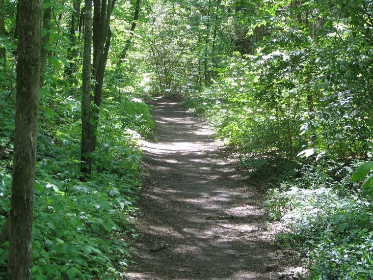 Natchez Trace, Mississippi - Natchez Trace by The Louvin Brothers