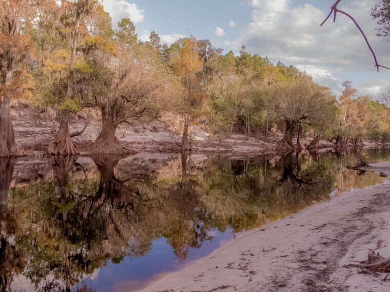 Suwannee River, Florida - Old Folks at Home by Stephen Foster