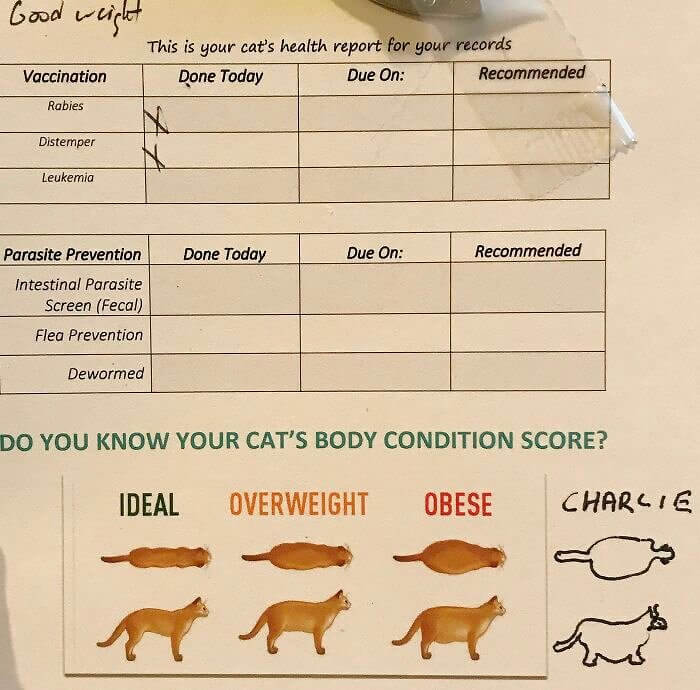 Charlie Is on a Level All His Own