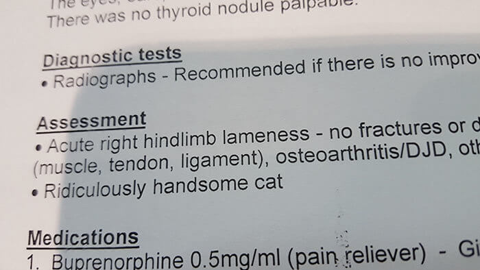 Now That’s an Assessment We Can Get Behind