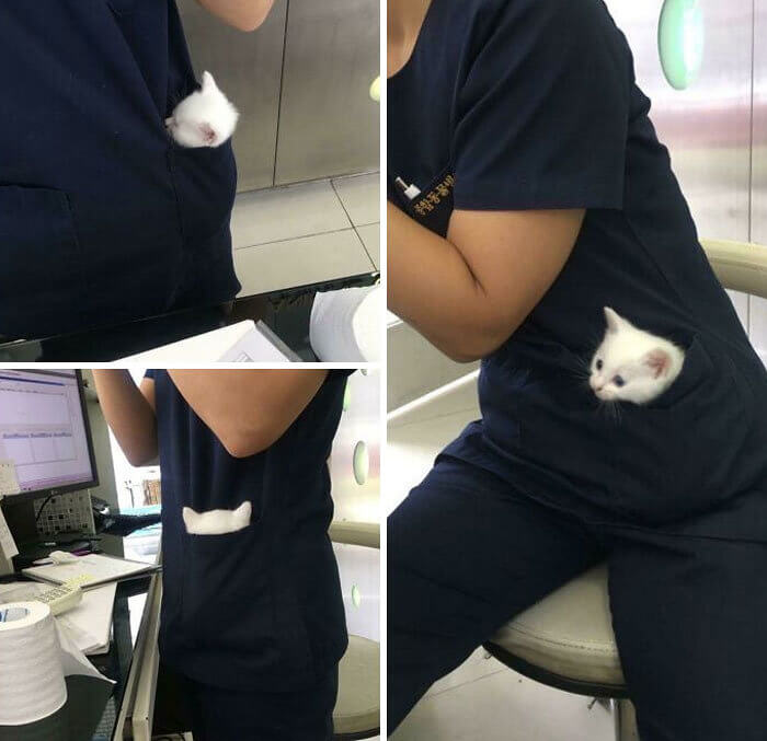 They Let Just Anyone Be a Doctor These Days, Eh?