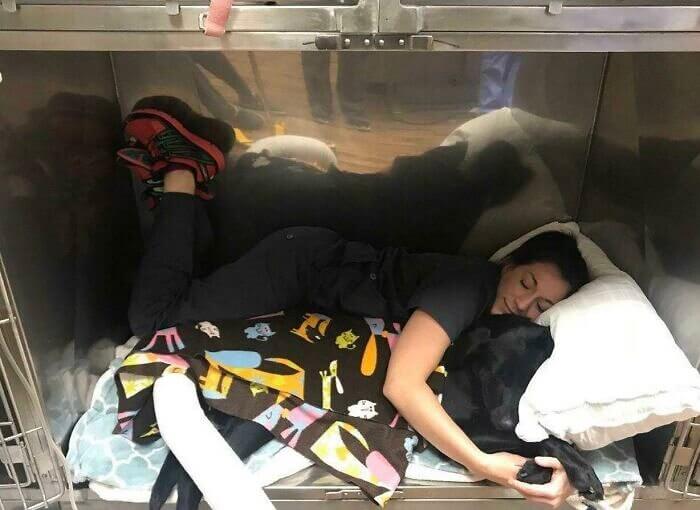 Where Do We Sign Up for This Job?