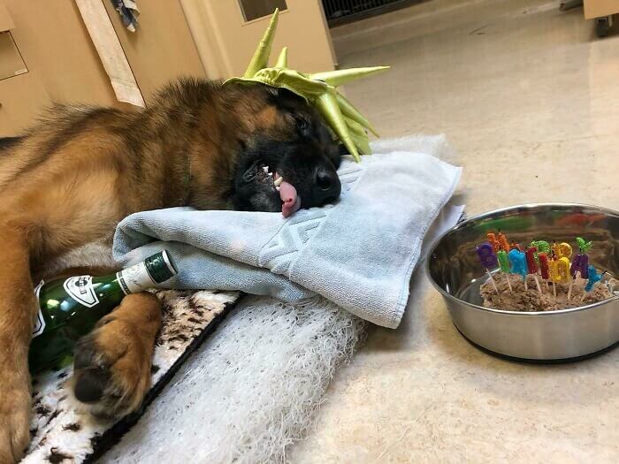 Looks Like This Guy Had a Pretty Wild Birthday!