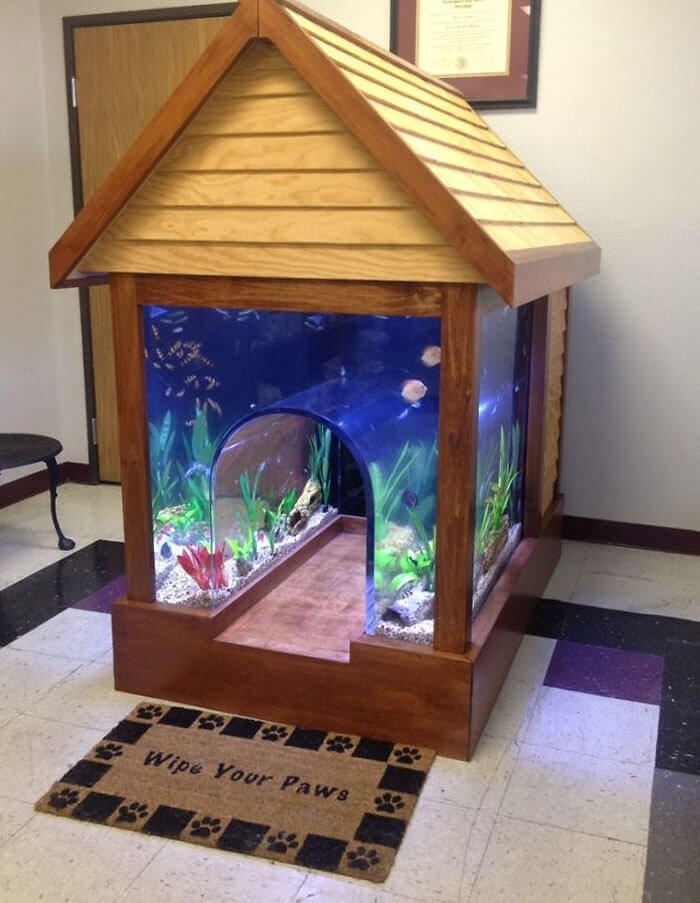 In The Dog House AND Swimming With the Fishes