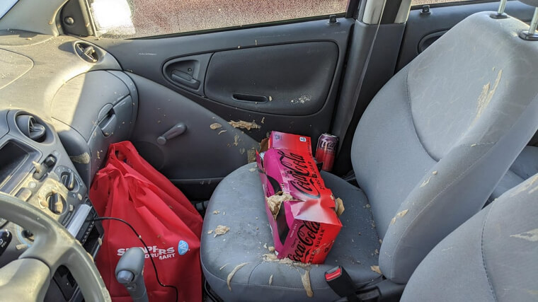 Bottled and Canned Drinks