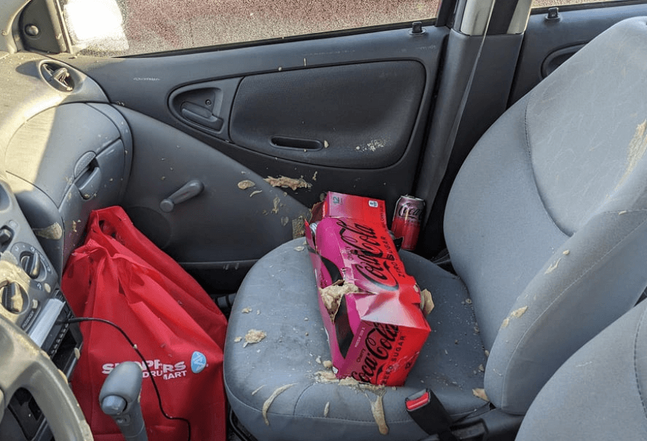 The Things You Should Never Leave in Your Car During Cold Weather