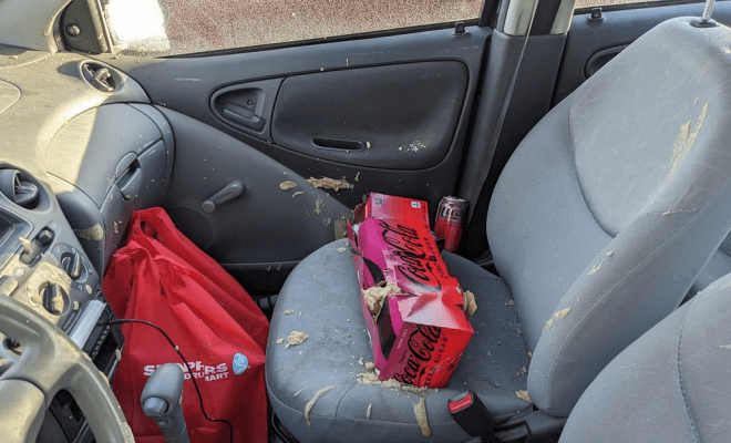 The Things You Should Never Leave in Your Car During Cold Weather