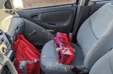 The Things You Should Never Leave in Your Car During Cold Weather