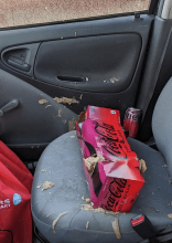 The Things You Should Never Leave in Your Car During Cold Weather