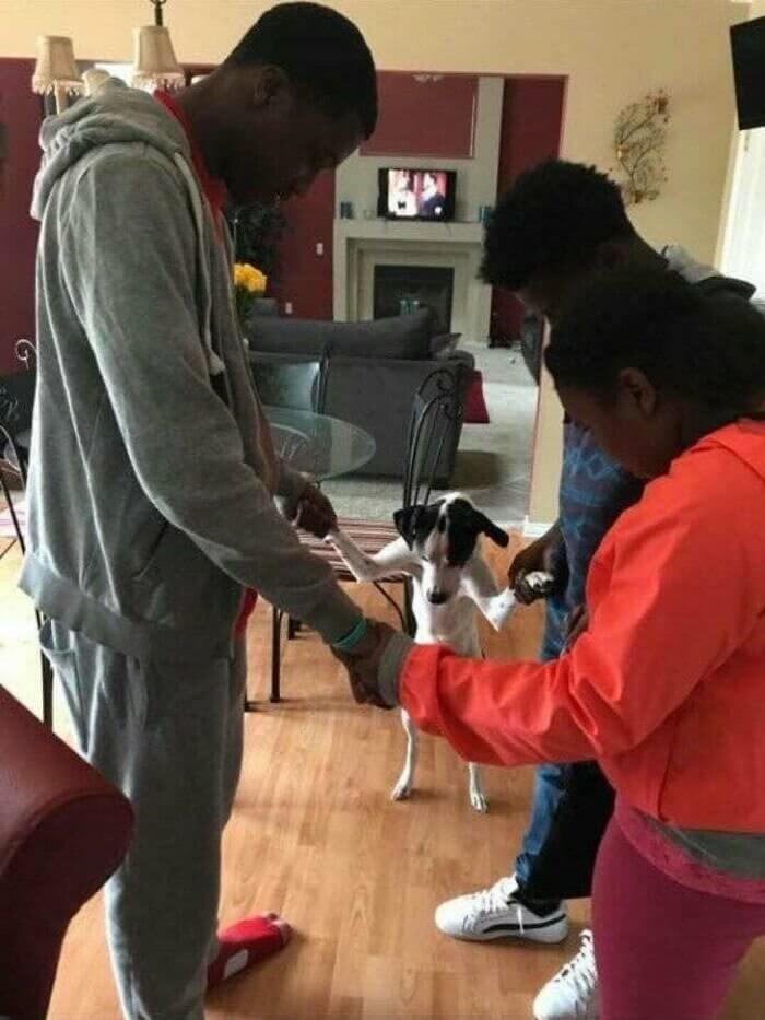 The Family And Pets That Pray Together Stays Together