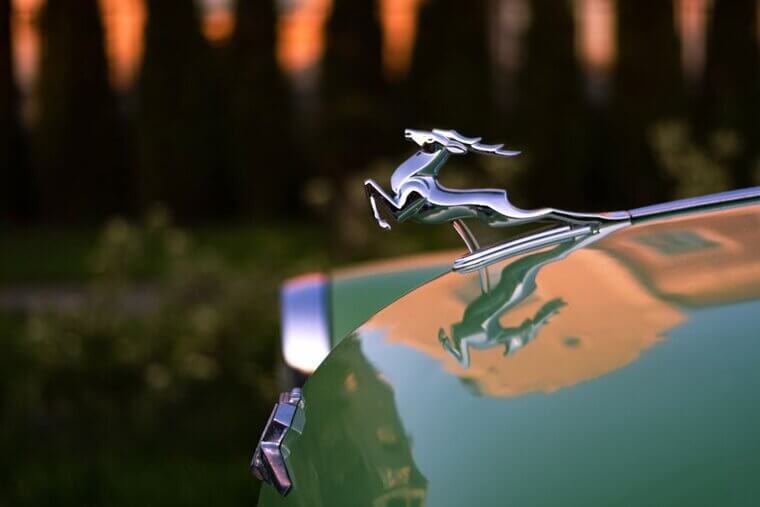 Illuminated Hood Ornaments at Night