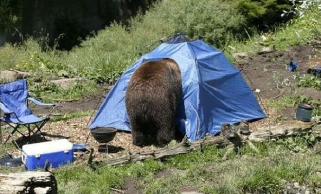 다음 여행 계획을 세우기 전에 다시 한 번 생각하게 만드는 캠핑 사진들