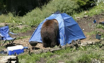 Fotos de acampamento que farão qualquer pessoa pensar duas vezes antes de planejar sua próxima viagem