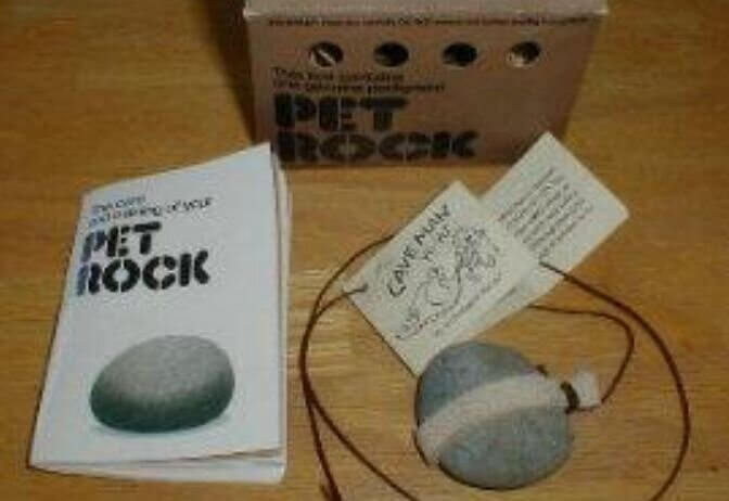 Pet Rock Craze