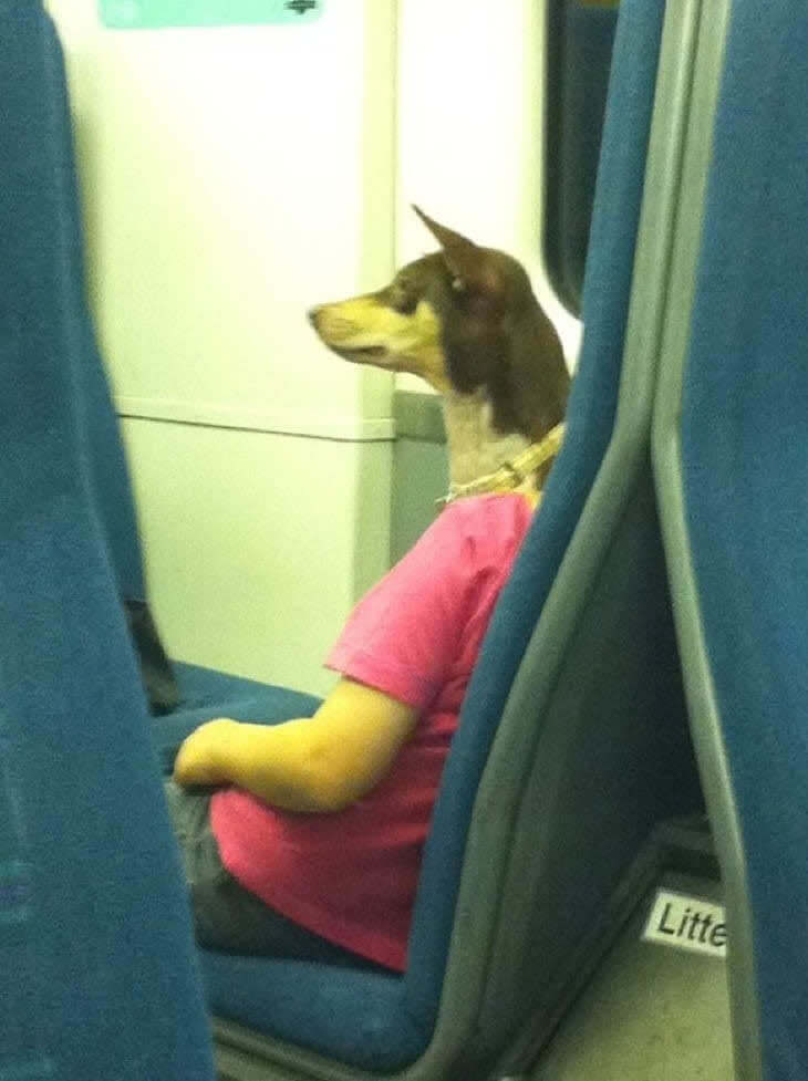 Dog-Woman