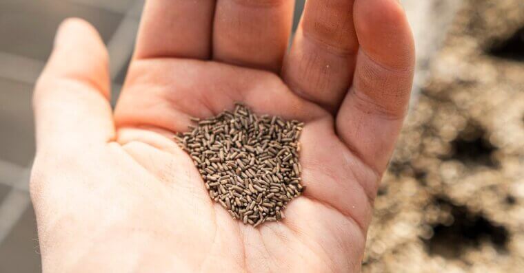 Store Seeds With Silica Packets