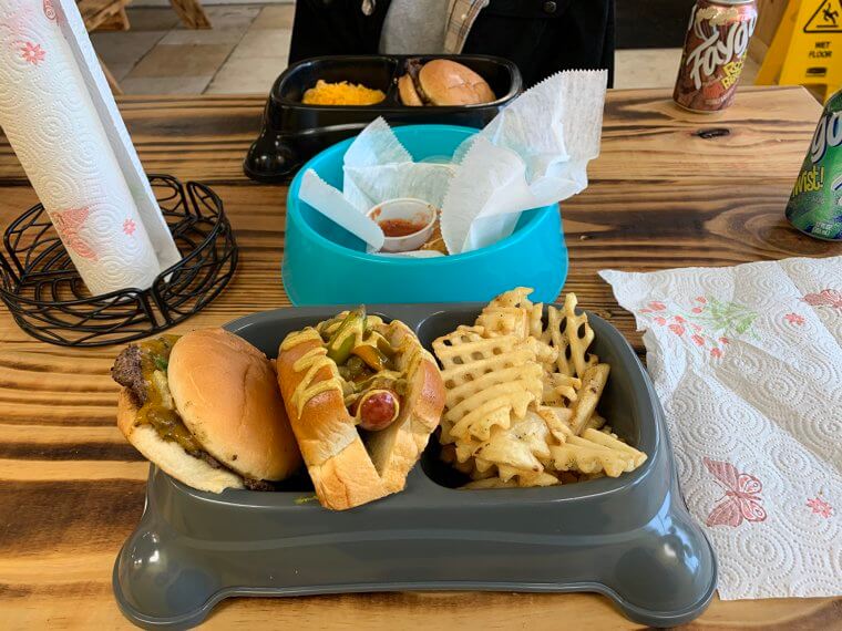 "The Dog Days Of Summer"