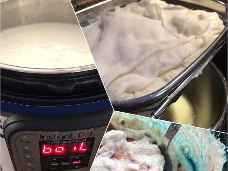 Homemade Yogurt