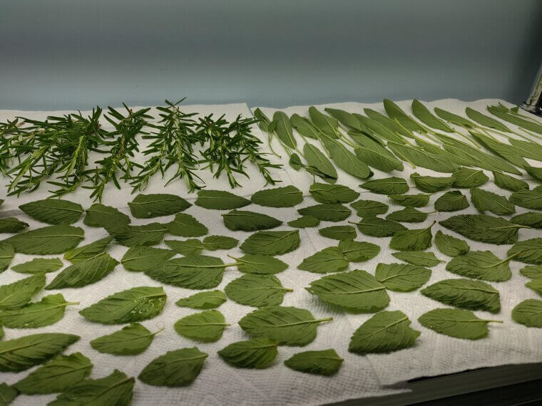 Preserve Leftover Herbs