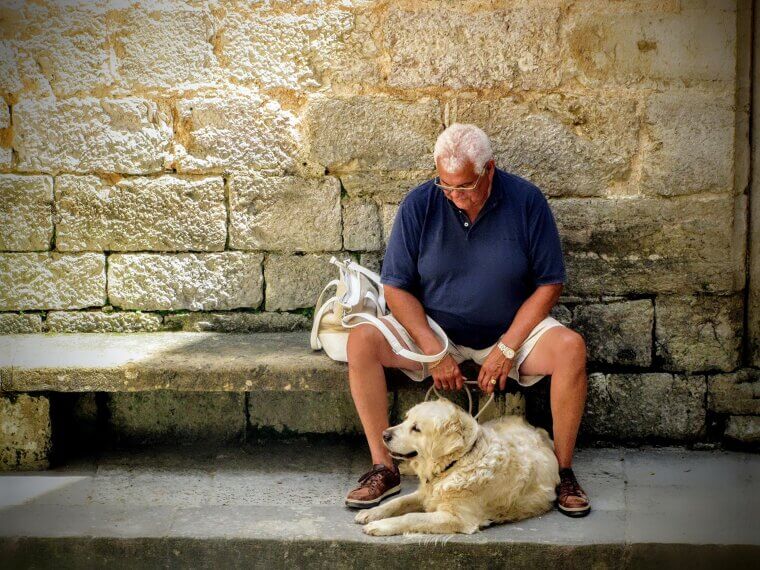 Companionship in Retirement: A Furry Friend