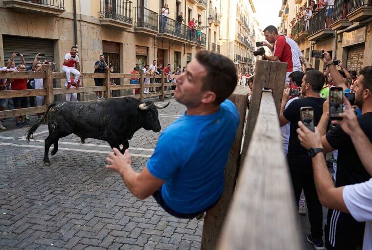 The Bull Who Charged the Wrong Tourist