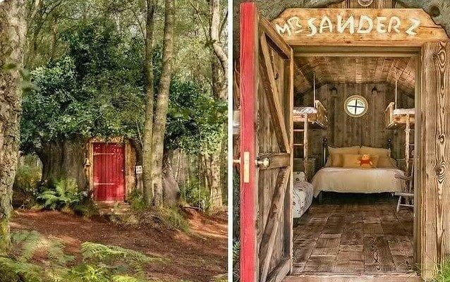 Winnie de Poeh's Airbnb