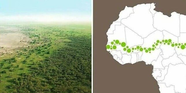 De 8.000 kilometer lange Muur van Bomen