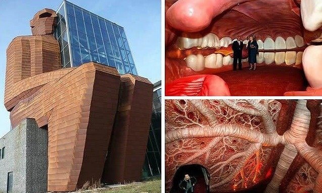 Het museum is één gigantisch lichaam