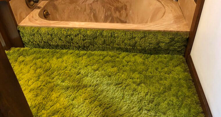 Shag Carpet Catastrophe