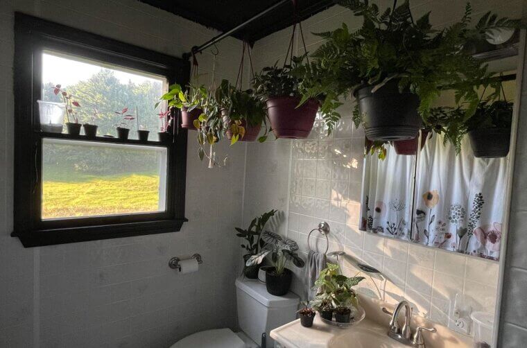 Hanging Plants Overload