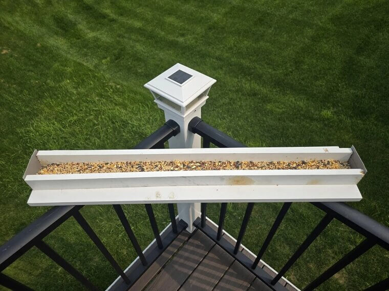 Make a DIY Bird Feeder