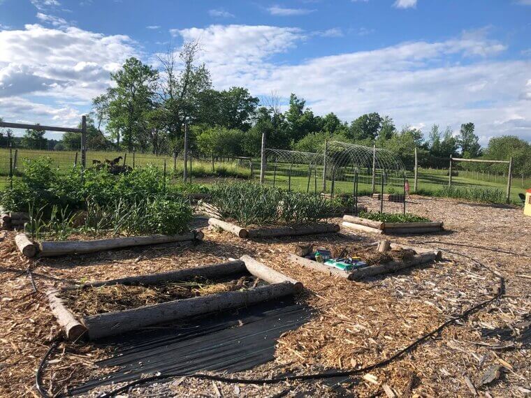 Install a Drip Irrigation System