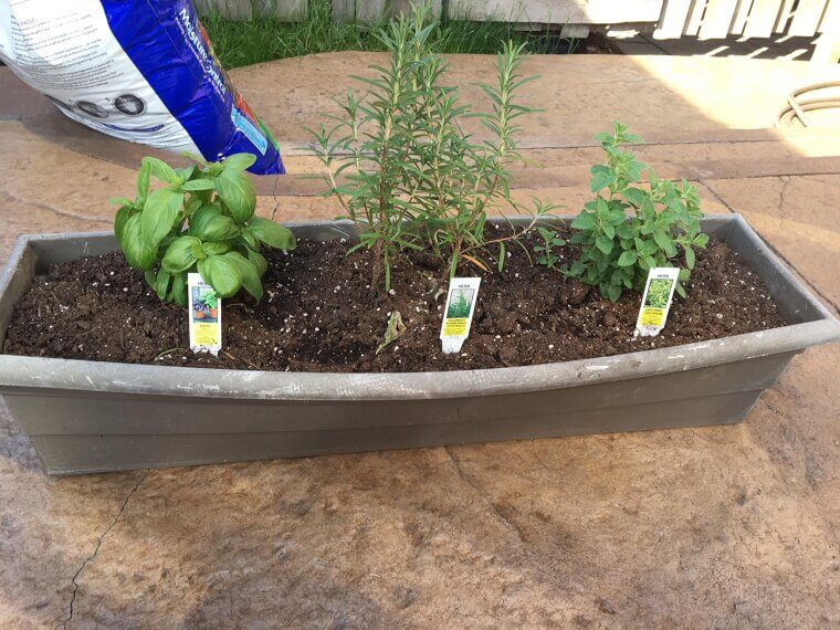 ​Grow Your Own Herb Garden