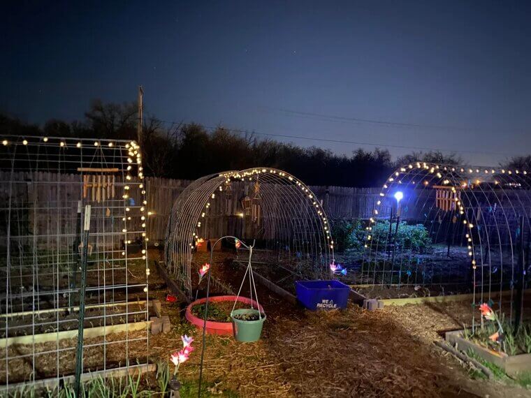​DIY Solar-Powered Garden Lights