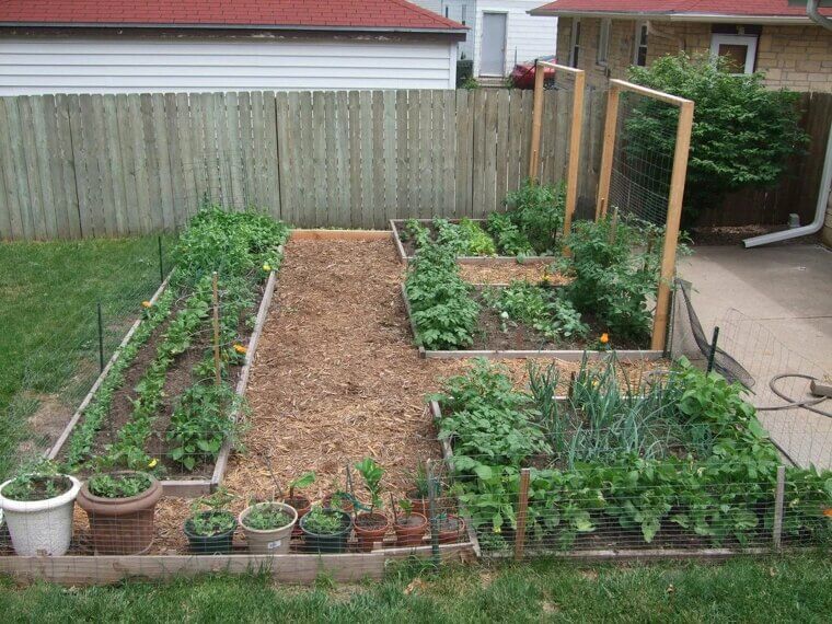 Create a DIY Greywater System