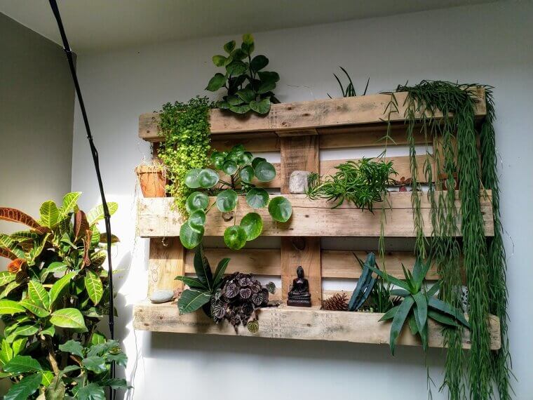 ​Build a Pallet Garden Wall