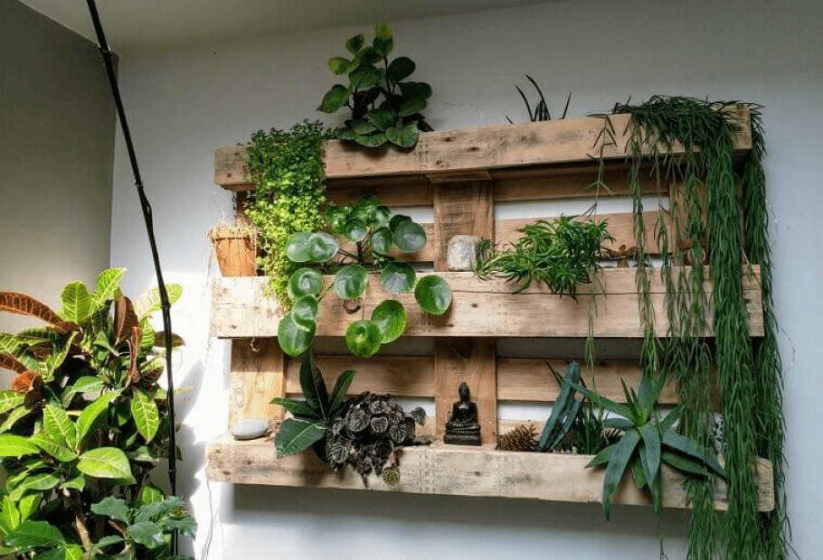 Affordable DIY Projects to Make Your Home More Eco-Friendly