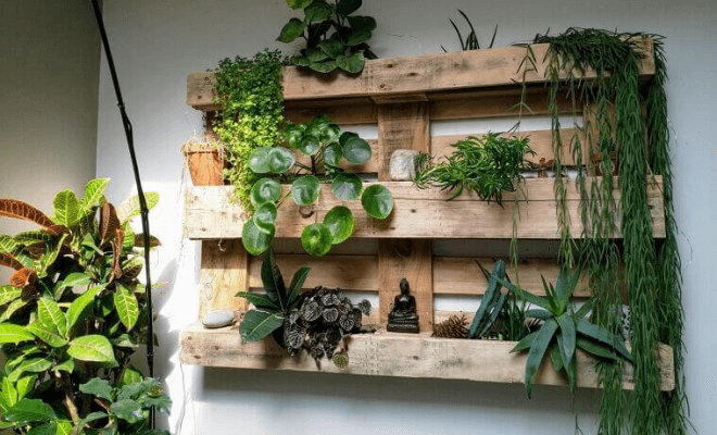Affordable DIY Projects to Make Your Home More Eco-Friendly