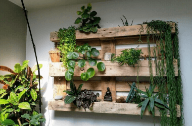 Affordable DIY Projects to Make Your Home More Eco-Friendly