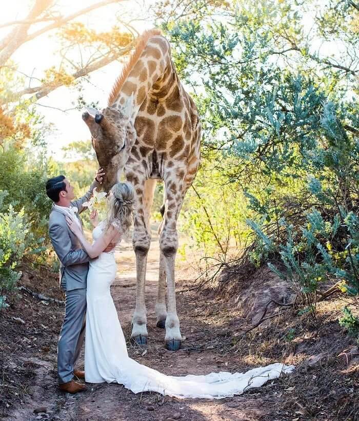 Wedding Photos, South Africa Style