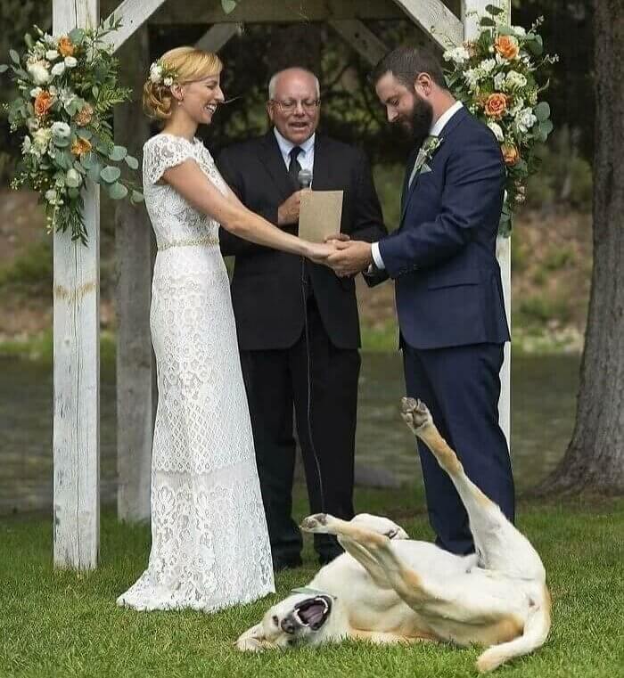 Never Work With Children Or Animals