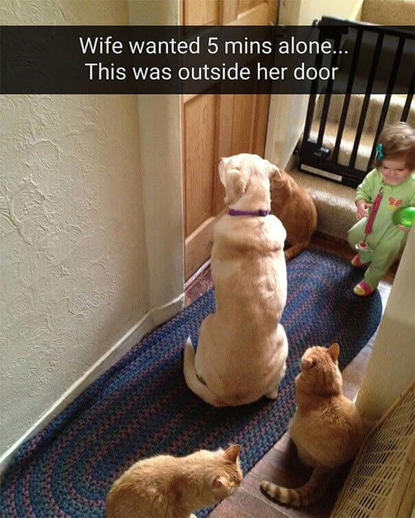 What Privacy?