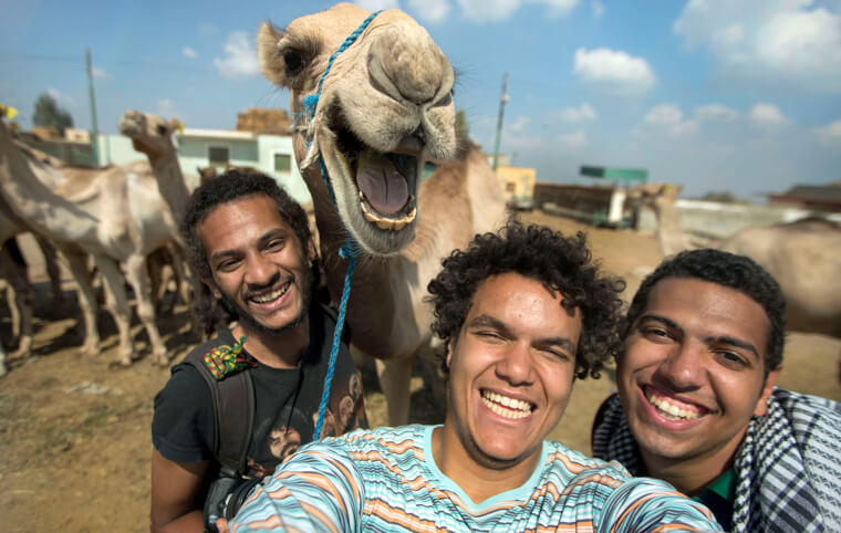 Someone Hook Us up With This Camel's Dentist, Please
