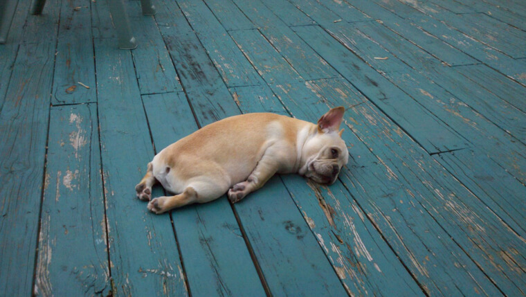 Mondays Got Us Like