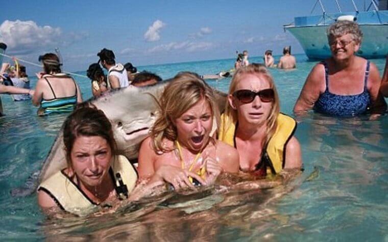 The Stingray Was Getting Handsy