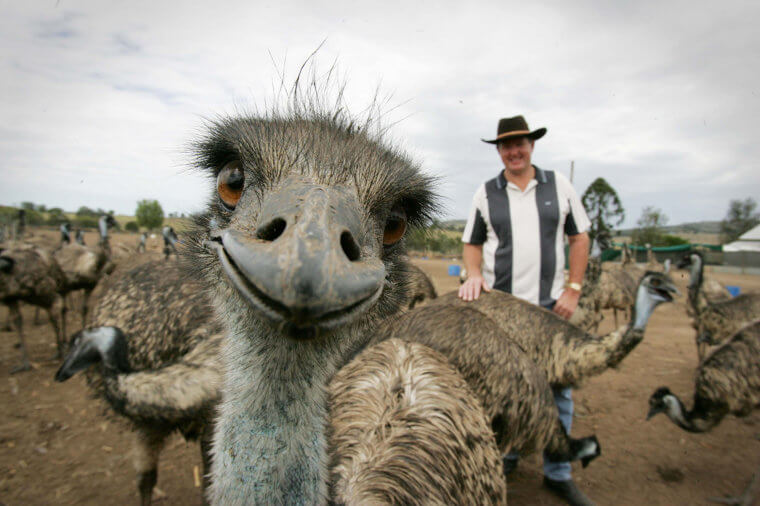 He's the Farmer's Bodyguard